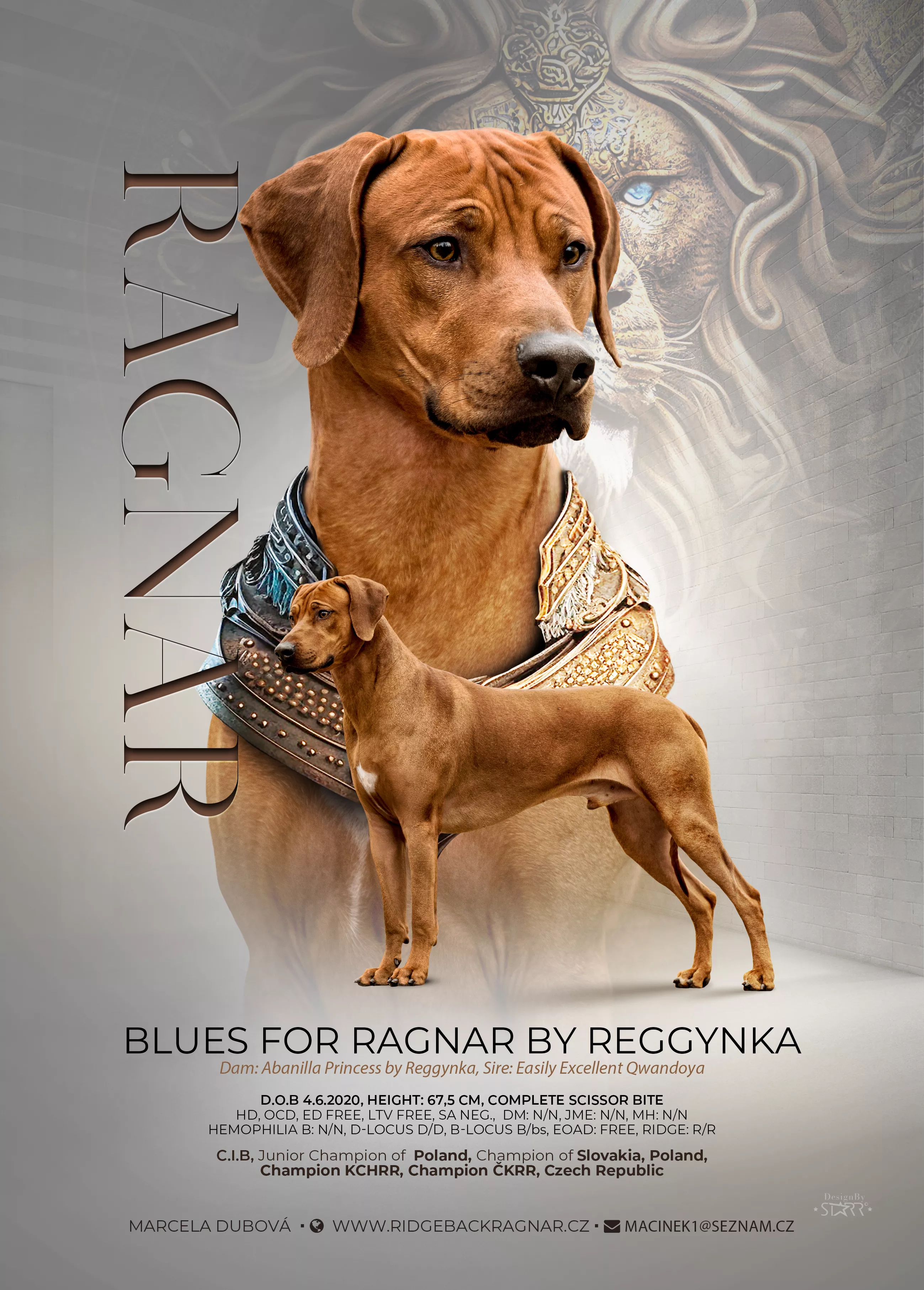 Blues For Ragnar - Plakát
